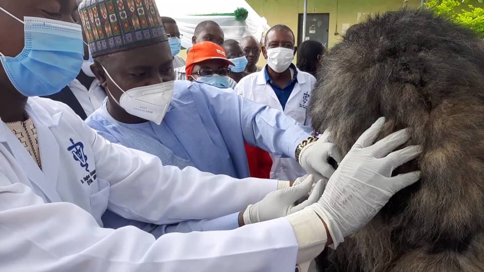 Anti Rabies Mass Vaccination Campaign Exercise in Ilorin